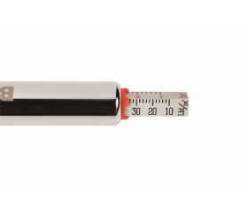 Medidor de presión de neumáticos | BWTPG1